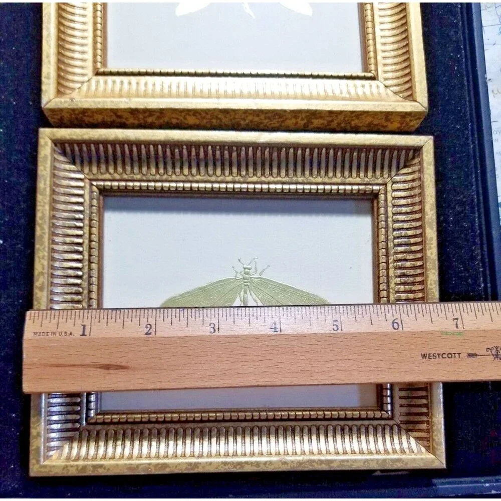 Gold Wood Framed Dragonfly Wall Art Home Decor Set of 2 Gold Dragonfly